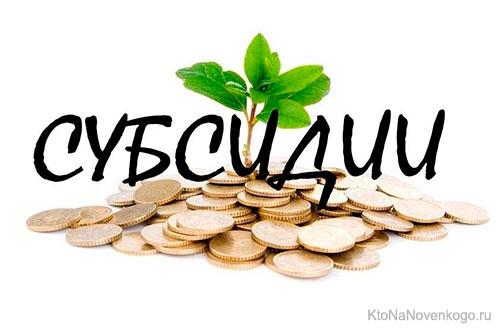 8,5 миллионов тенге сохранила кызылординским хозяйствам Палата предпринимателей  